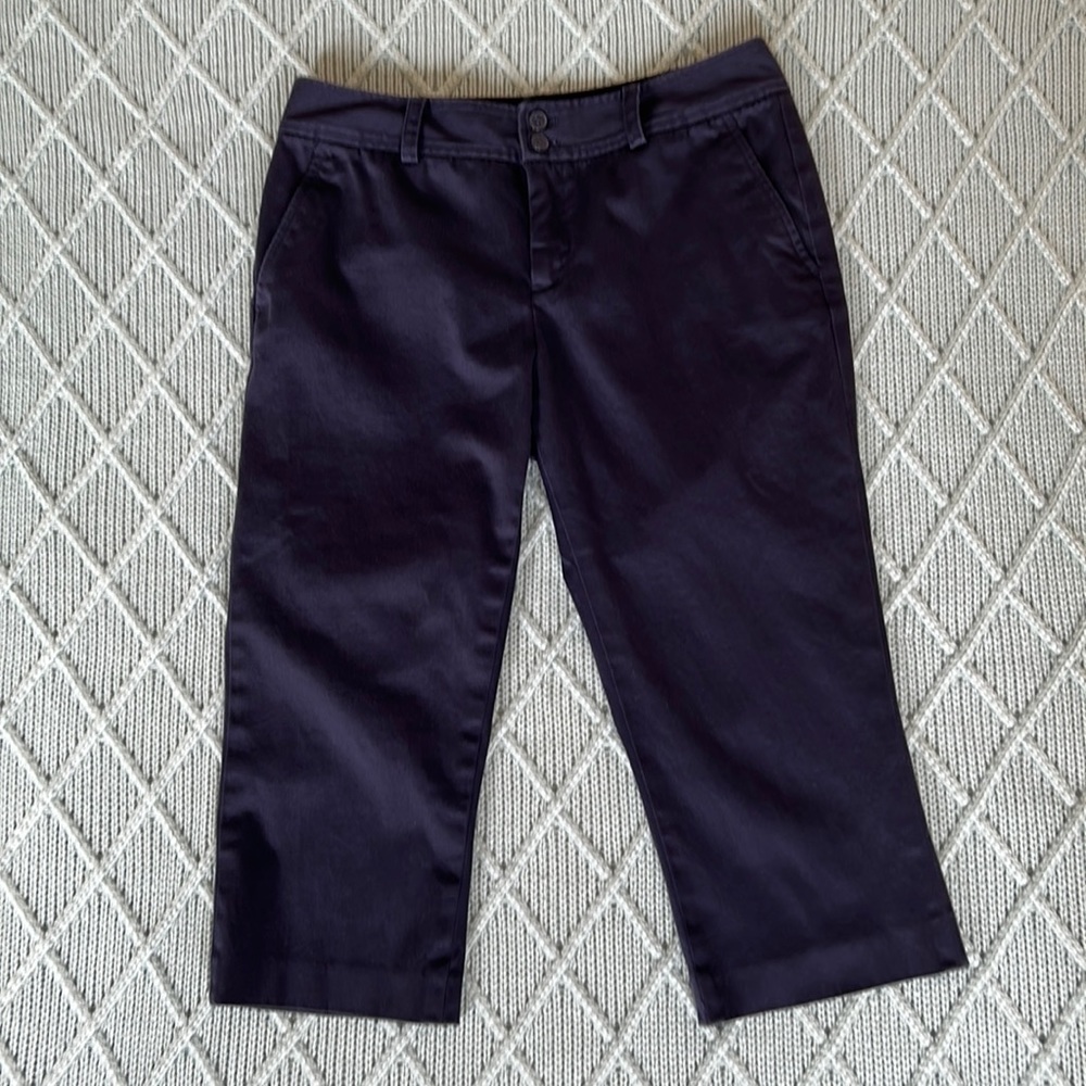 CHAPS Womens Navy Blue Capris 10P